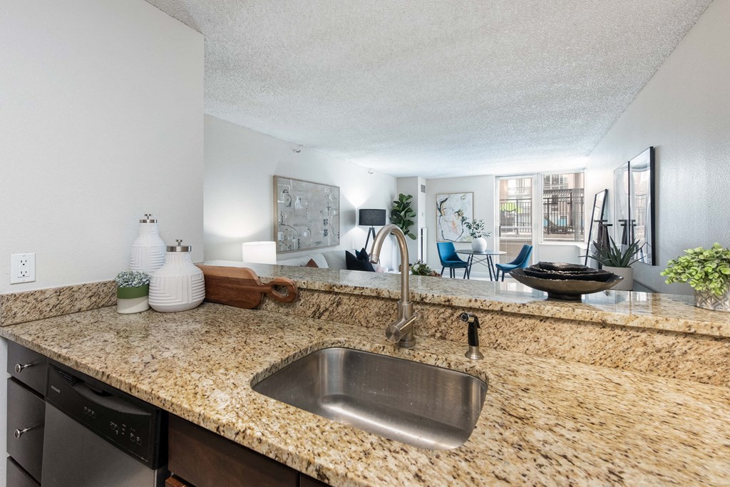 apartment kitchen and living room