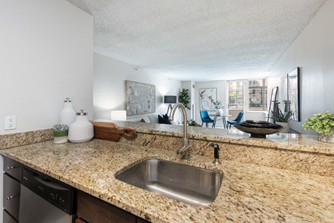 apartment kitchen and living room