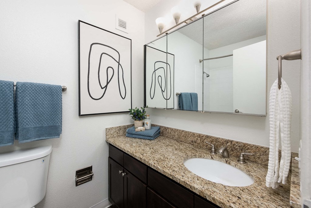 a bathroom with a large mirror and a sink