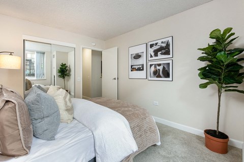 a bedroom with a large bed and a potted plant