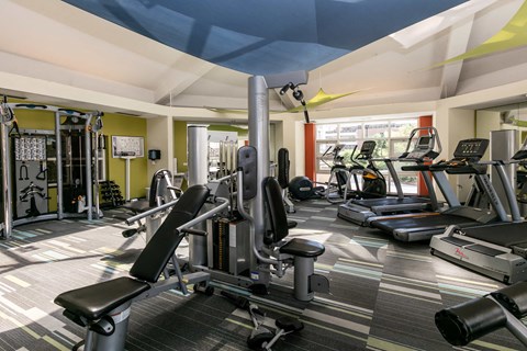 a gym with weights and cardio equipment on the floor and a window