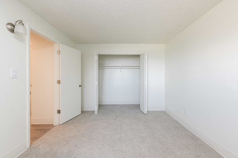 an empty bedroom with a closet and a door to a wardrobe