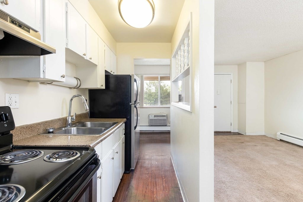 a kitchen with a stove and a sink and a refrigerator