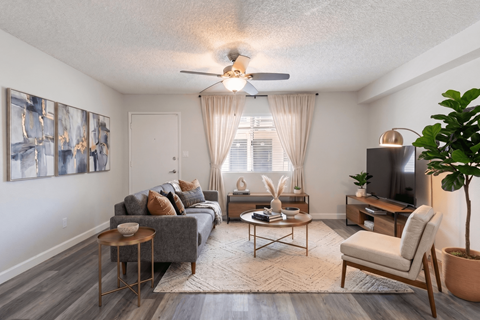 A living room with a grey couch, a wooden coffee table, a television, and a plant.