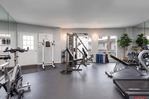 A spacious gym with a variety of equipment including treadmills, stationary bikes, and weight machines.