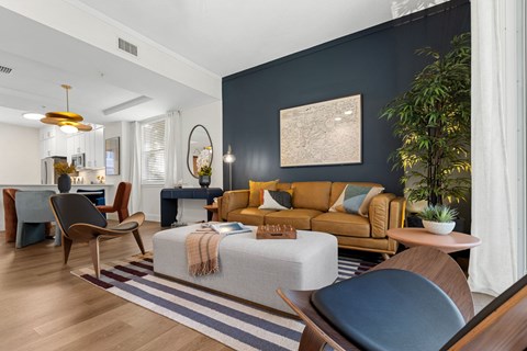 A living room with a grey sofa and a wooden chair.