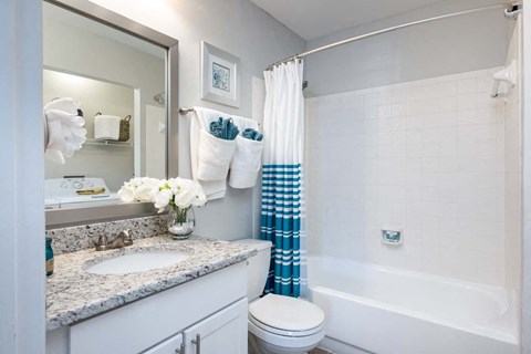 Tampa Apartments with W/D at Arbour Ponds Aspen bathroom 2x2 950 sq ft