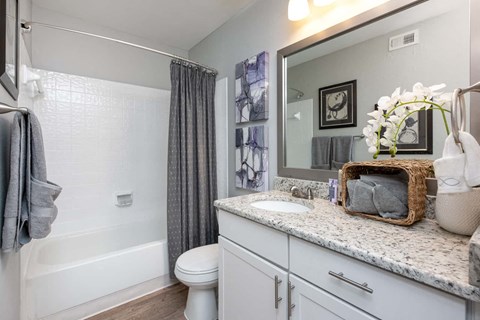 Arbour Ponds Tampa rentals sequoia bathroom 1x1 750 sq ft