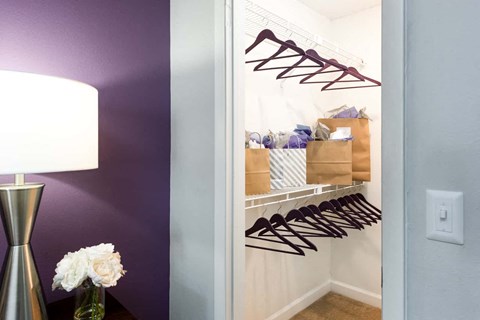 Arbour Ponds Tampa rentals sequoia bedroom walk-in closet 1x1 750 sq ft