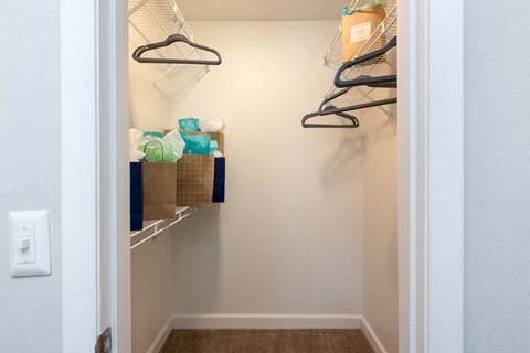 Tampa Apartments with Balcony at Arbour Ponds Aspen bedroom closet2x2 950 sq ft