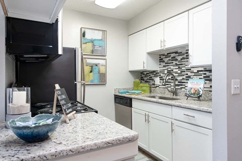 Tampa Pet Friendly Apartments at Arbour Ponds Aspen kitchen 2x2 950 sq ft