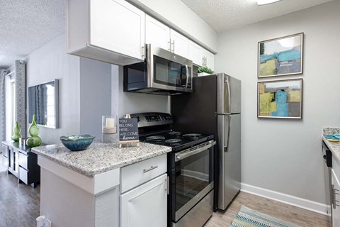 Tampa Pet Friendly Apartments at Arbour Ponds Aspen kitchen angle 2x2 950 sq ft