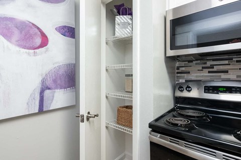 Arbour Ponds apartments in Tampa sequoia floor plan kitchen pantry 1x1 750 sq ft