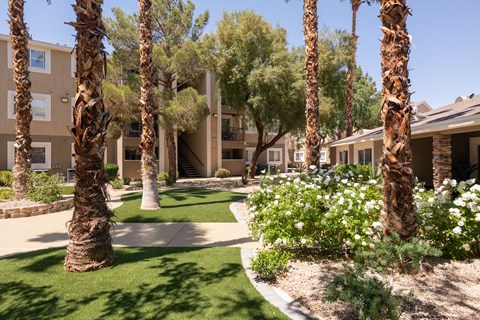a courtyard with palm trees and green grass and sidewalks