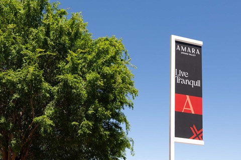 a sign for the line tram stop in front of a tree