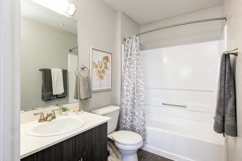 a bathroom with a shower toilet and sink and a mirror