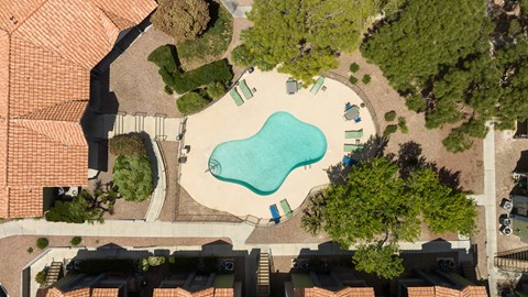 an aerial view of a swimming pool in a backyard with trees