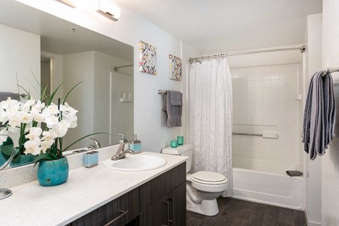 a bathroom with a sink and a toilet and a shower