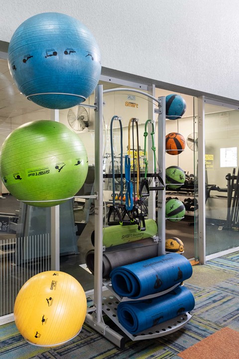 a gym with weights and cardio equipment on a rack