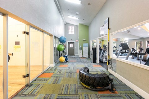 a gym with a tire and balls on the floor and a treadmill