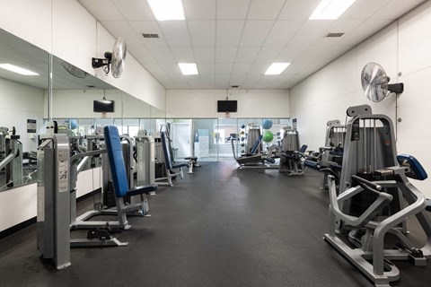a gym with a lot of exercise equipment in it
