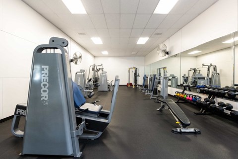 a gym with cardio equipment and weights on the floor