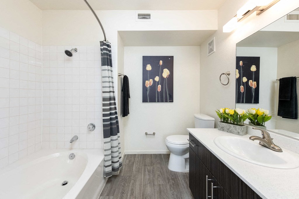 a bathroom with a tub and a sink and a toilet