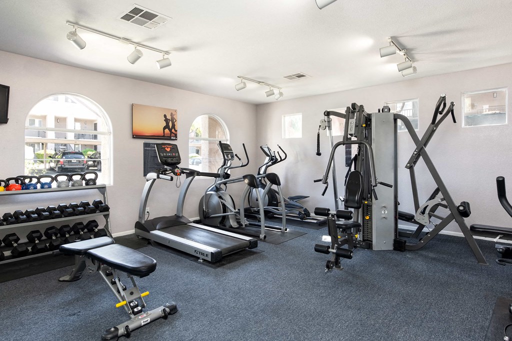 the gym is equipped with cardio equipment and weights