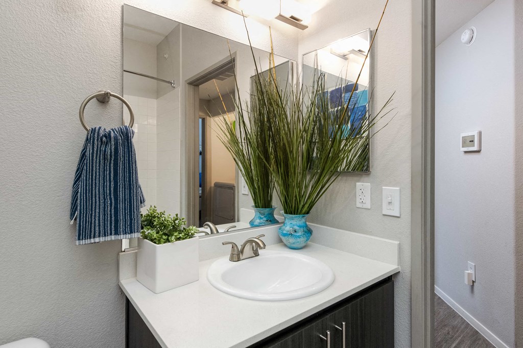 a bathroom with a sink and a mirror and a potted plant