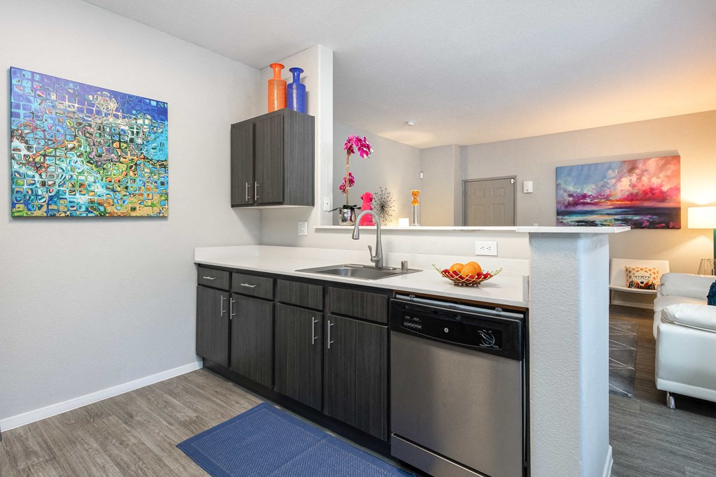 a kitchen with a sink and a dishwasher in a living room