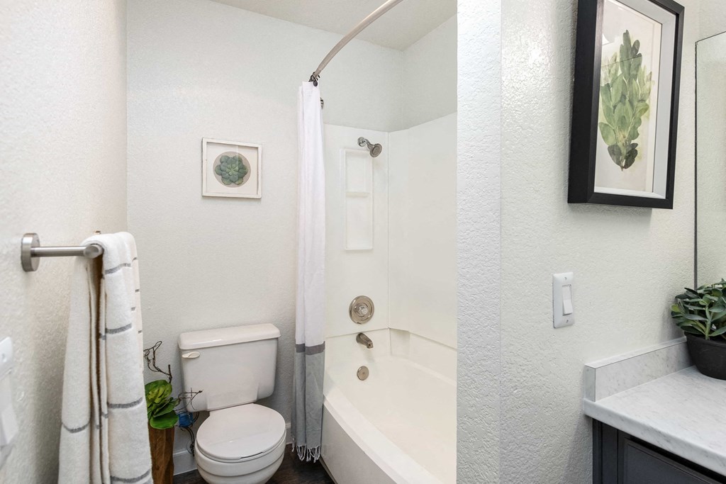 a bathroom with a shower and a toilet and a sink