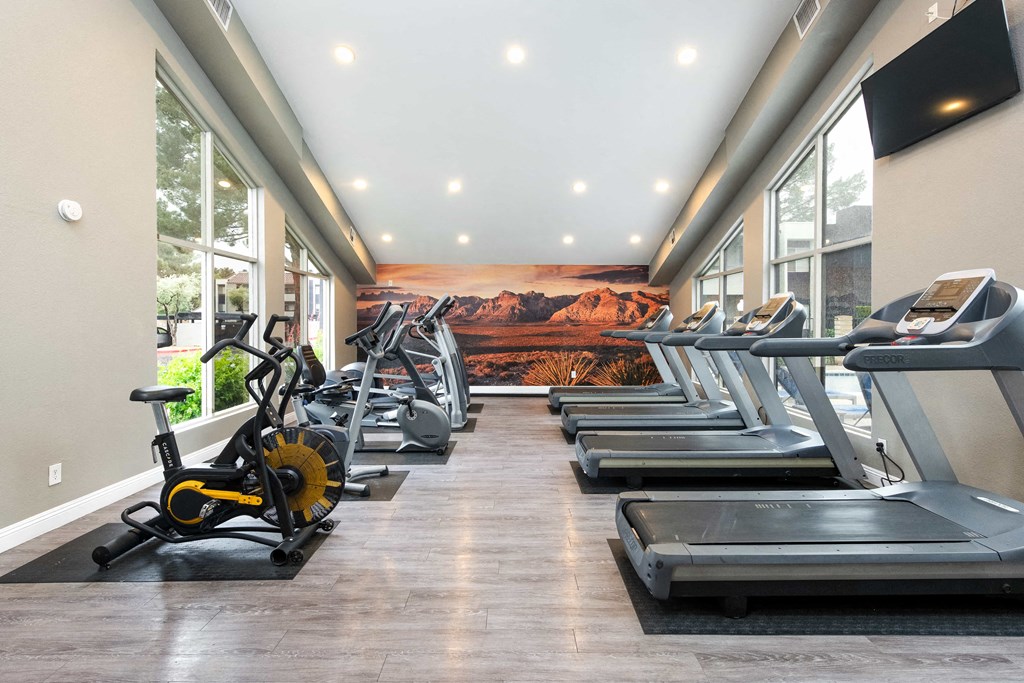 a gym with cardio machines and a wall mural of a mountain