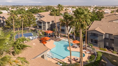 an aerial view of a swimming pool with palm trees