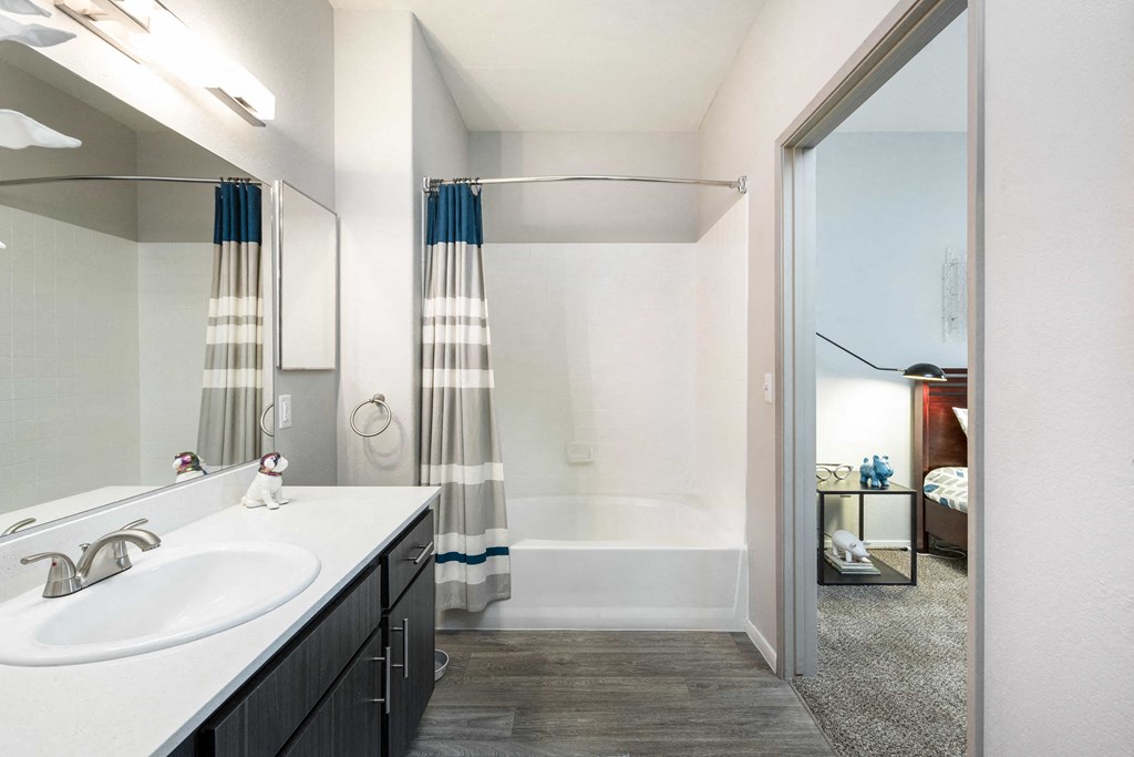 a bathroom with a sink and a shower and a mirror