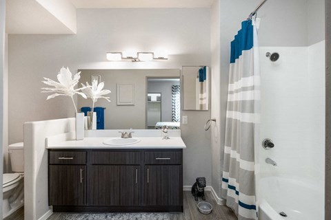 a bathroom with a shower and a sink and a mirror