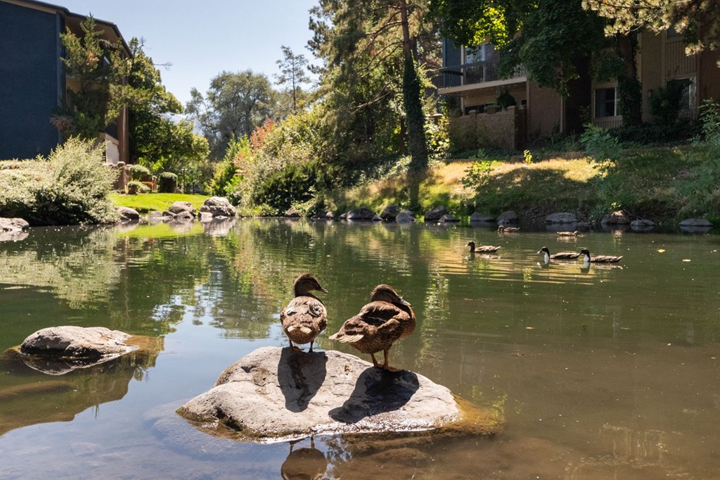 Cobble Creek Apartments
