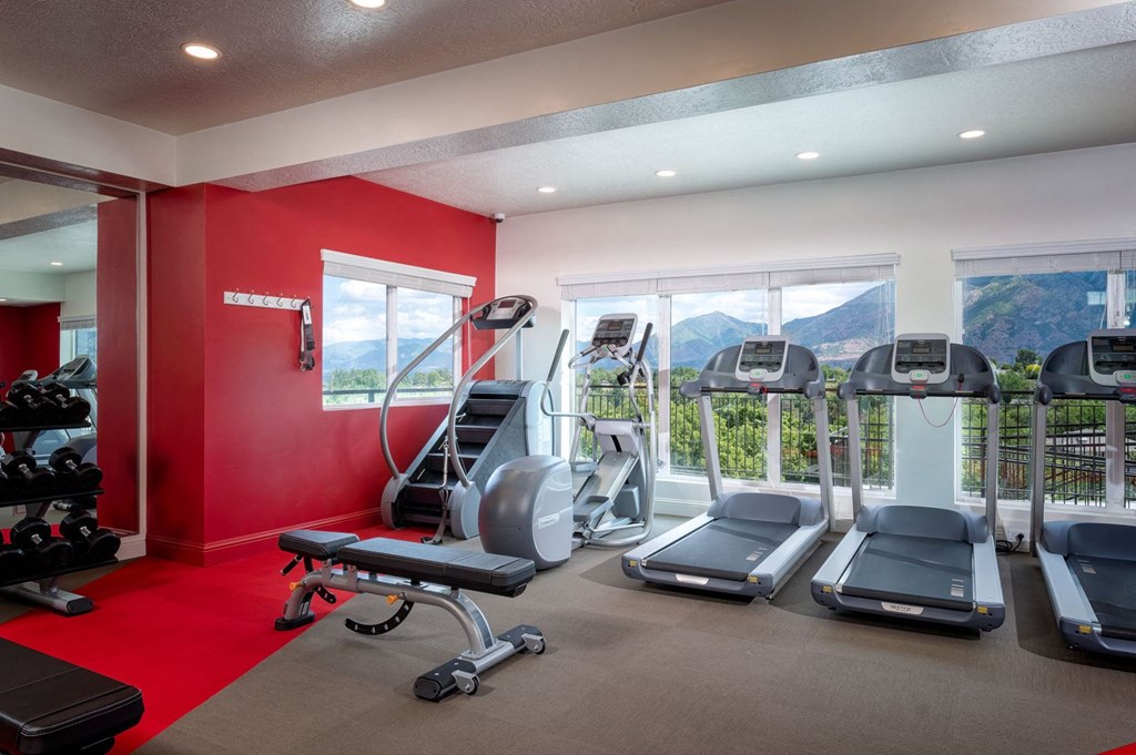 A gym with a view of the mountains