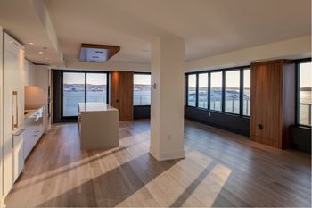 Harbour Views