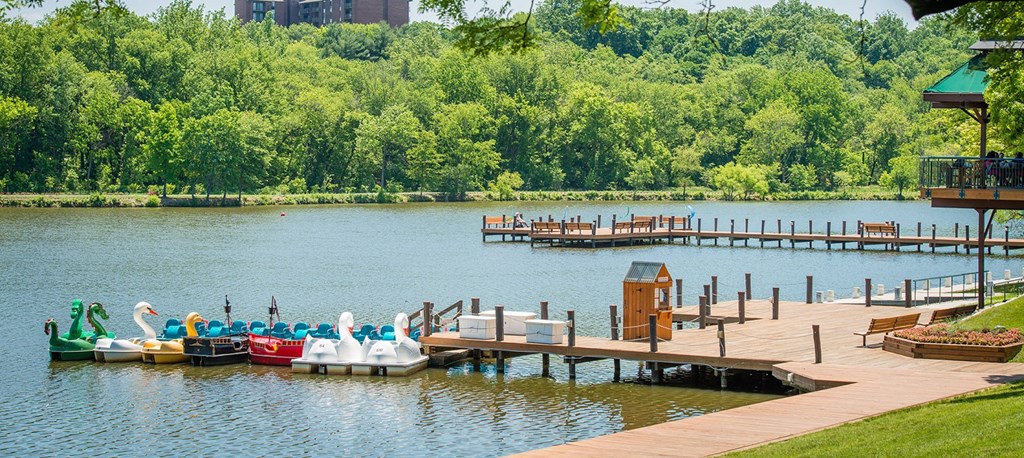 a dock with boats on the water at a lake at The Metropolitan Downtown Columbia, Columbia, 21044