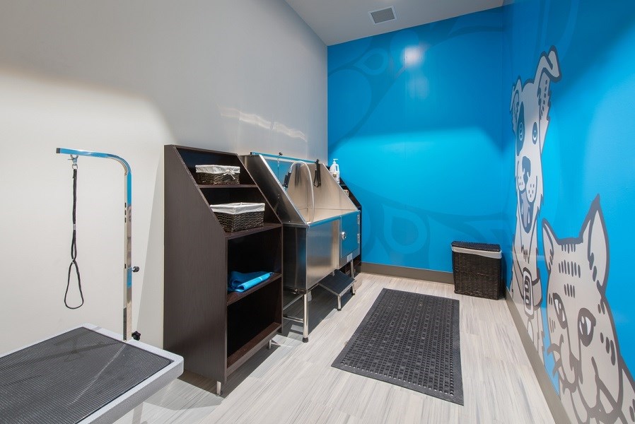 a room with a blue wall and a closet with a desk at The Metropolitan Downtown Columbia, Columbia, 21044