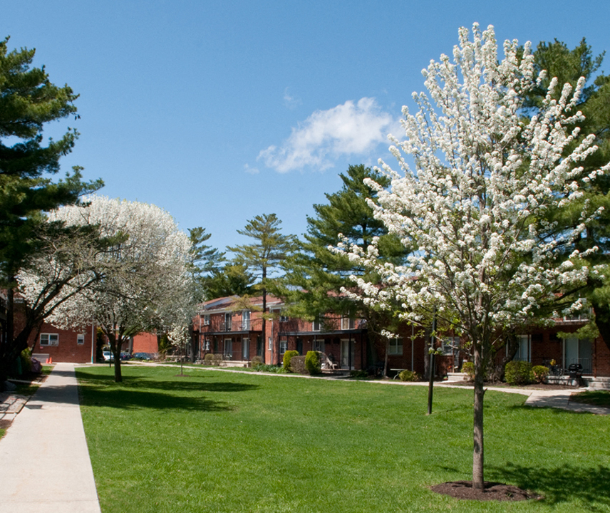 Landscaped courtyard with blossoming trees at Troy Hills Village in Parsippany, NJ,07054