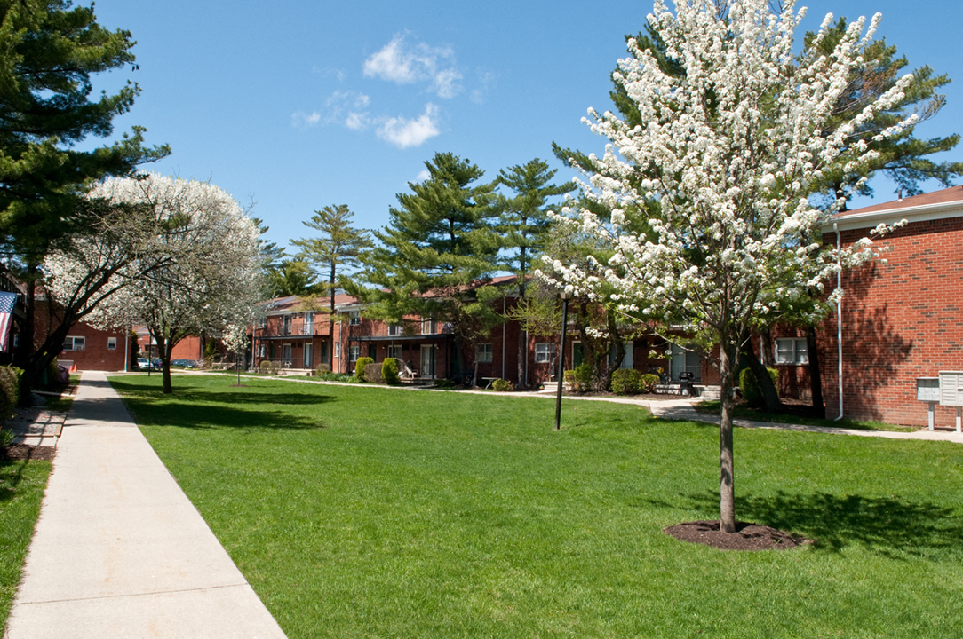 Lawn area with cherry blossoms at Troy Hills Village in Parsippany, NJ,07054