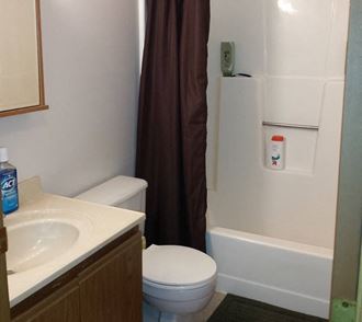Bathroom With Bathtub at Covington Place Apartments, Minnesota, 56301