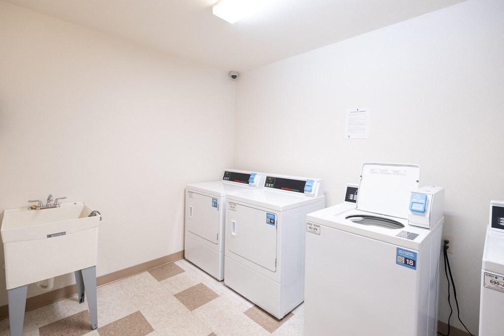 Laundry Room at Timber Ridge Apartments, Minnesota, 56601