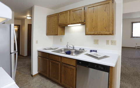 A kitchen with wooden cabinets and a stainless steel dishwasher.