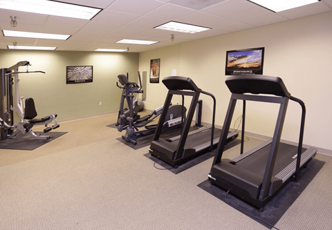 A gym with treadmills, elliptical machines, and other exercise equipment.