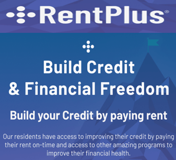 build credit and financial freedom build your credit by paying their rent on time and earning