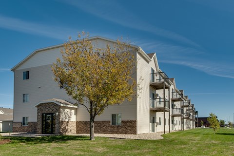 A tree with yellow leaves is in front of a white building.