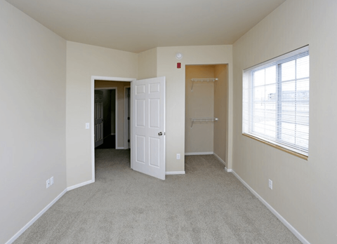 A room with a carpeted floor, a white door, and a window with blinds.