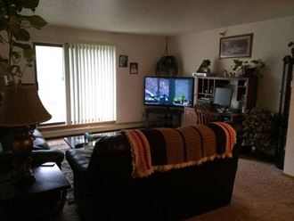 Living Area  at Autumn Hills Apartments, Forest Lake, Minnesota